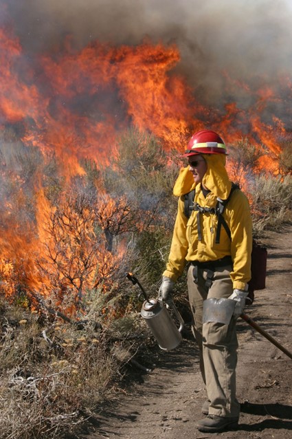 Wildland Fire Fighters