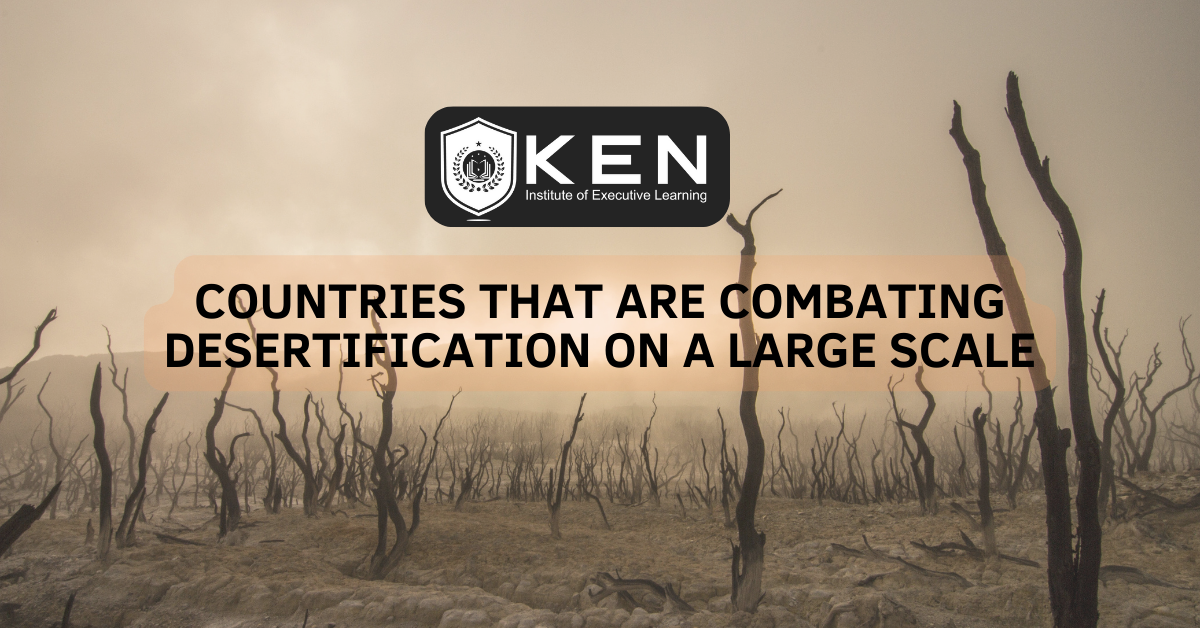 Countries that are combating Desertification on a Large Scale