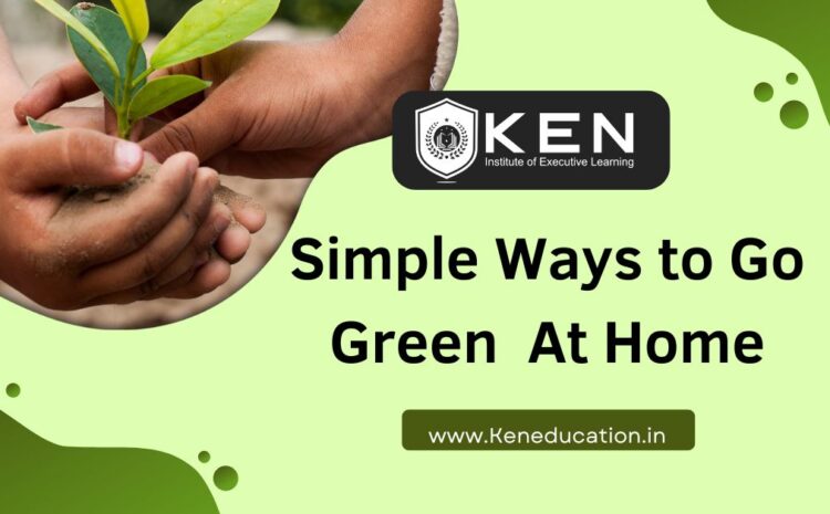  Simple Ways to Go Green  At Home