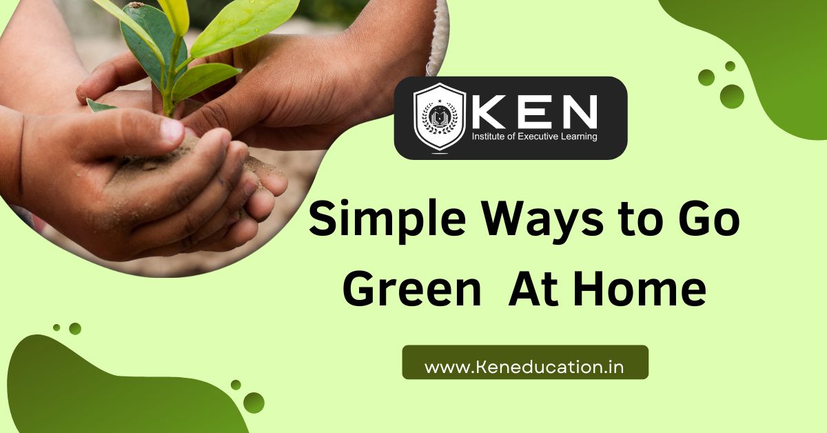 Simple ways to go green home