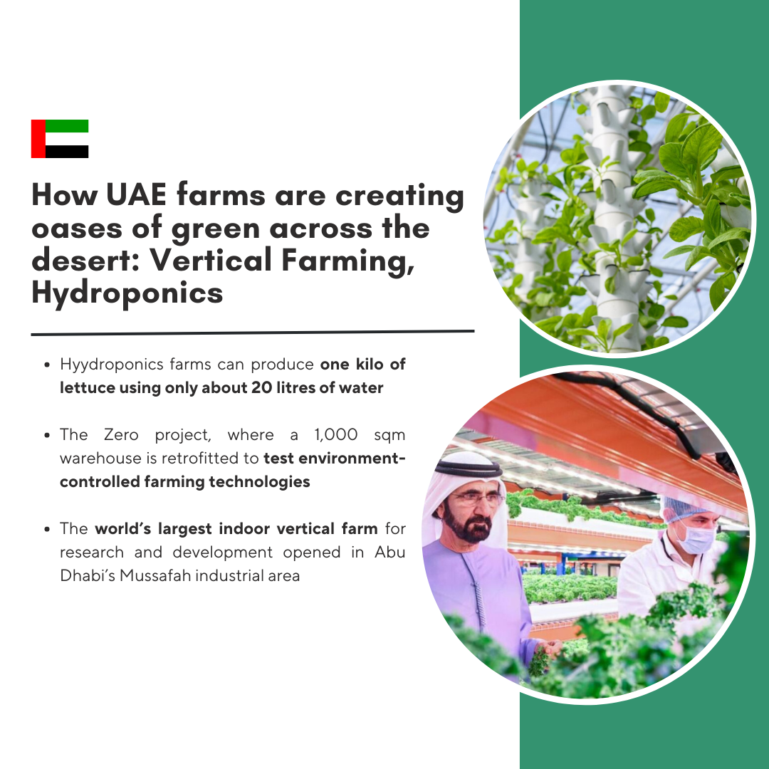Greening the Desert" initiative