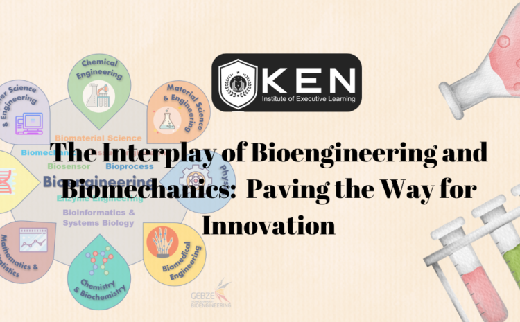  The Interplay of Bioengineering and Biomechanics:  Paving the Way for Innovation