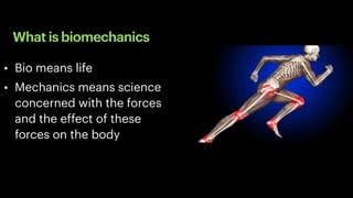 what is Biomechanics?