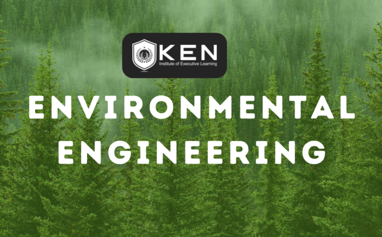  What is Environmental Engineering?