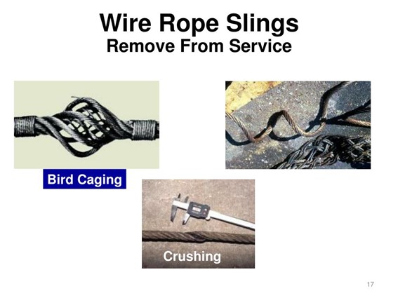 Wire Rope Slings